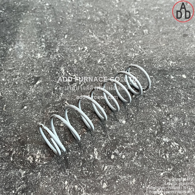 Dungs Setpoint Spring FRSBV 300-830mbar (6)